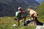 Randonnées en Savoie - Les Saisies